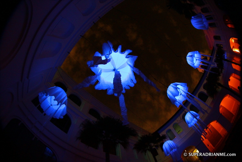 Voyage Night Festival 2011 - Curiosities Voyage Night Festival 2011 - Curiosities