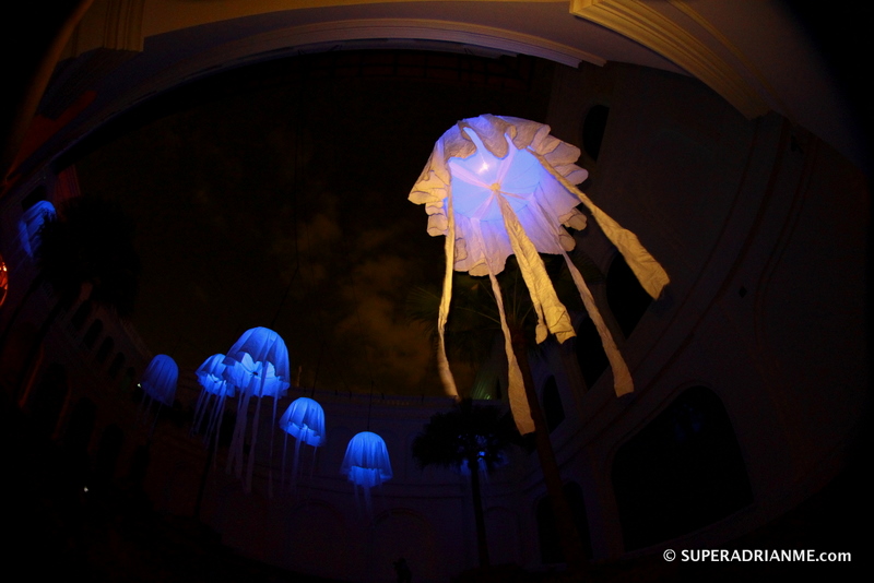 Voyage Night Festival 2011 - Curiosities Voyage Night Festival 2011 - Curiosities