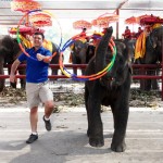 Visa - Matt Harding in Thailand