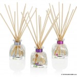 Crabtree & Evelyn Mini Diffusers Crabtree & Evelyn Mini Diffusers