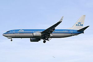 KLM Boeing 737-800 (PH-BXH "Goose")