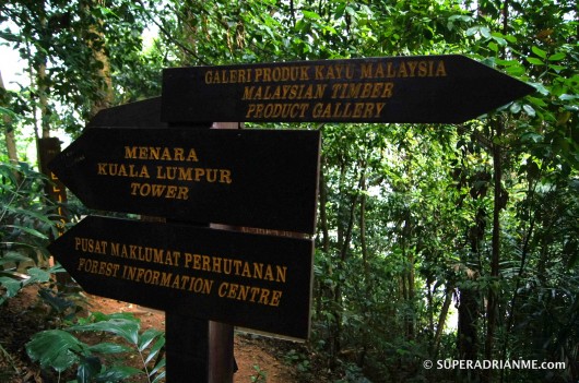 Bukit Nanas Nature Reserve