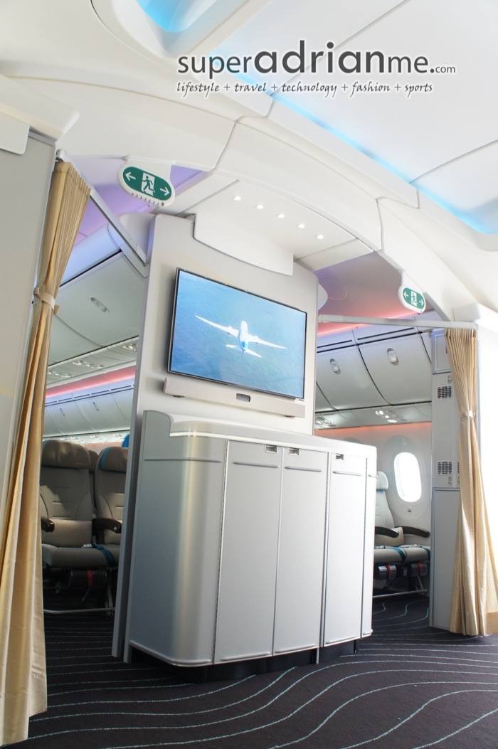 Boeing 787-8 Dreamliner ZA003 - Welcome Lounge onboard