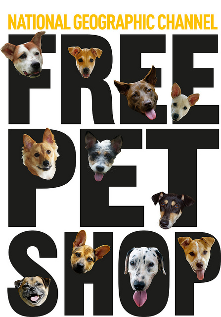 National Geographic Channel Free Pet Shop Poster