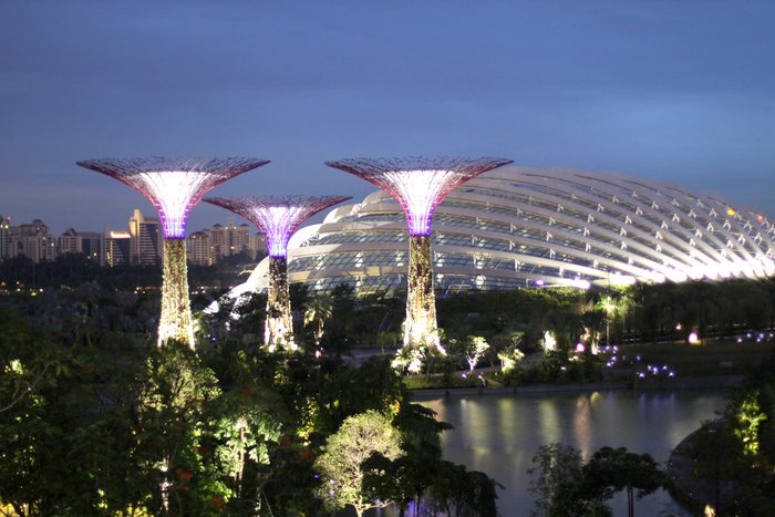 Gardens By The Bay Singapore (Sunrise)
