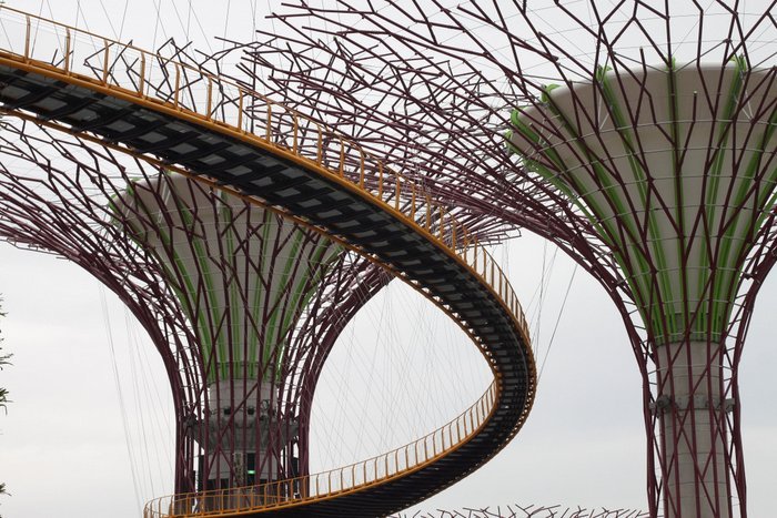 SUPERTREES and BRIDGE at Gardens By The Bay Singapore