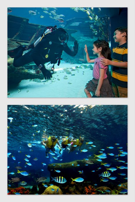 Resorts World Sentosa Marine Life Park- SEA Aquarium (top) & Adventure Cove Waterpark (bottom)