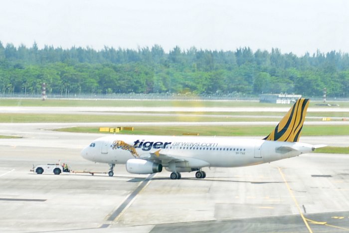 Tiger Airways on the tarmac at Singapore Changi International Airport