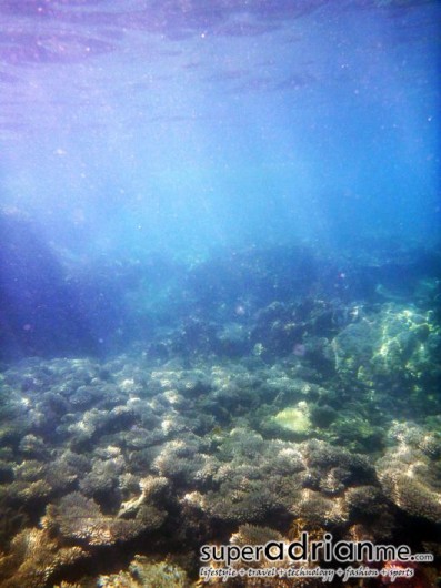 Perhentian Islands snorkel